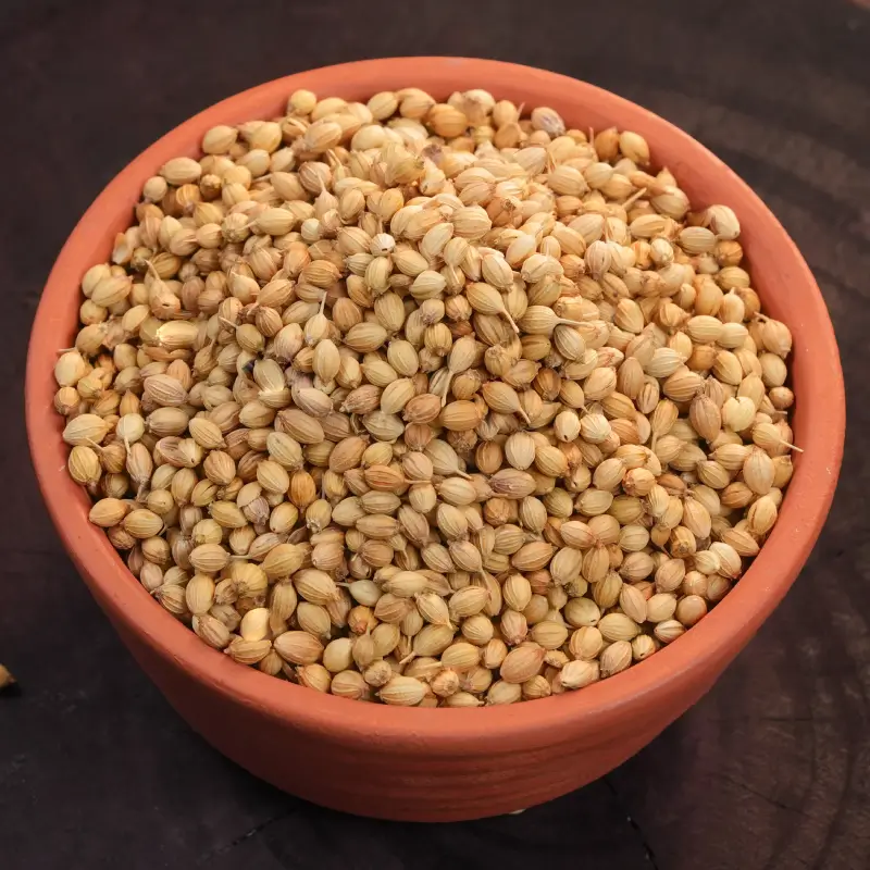 Coriander Seeds